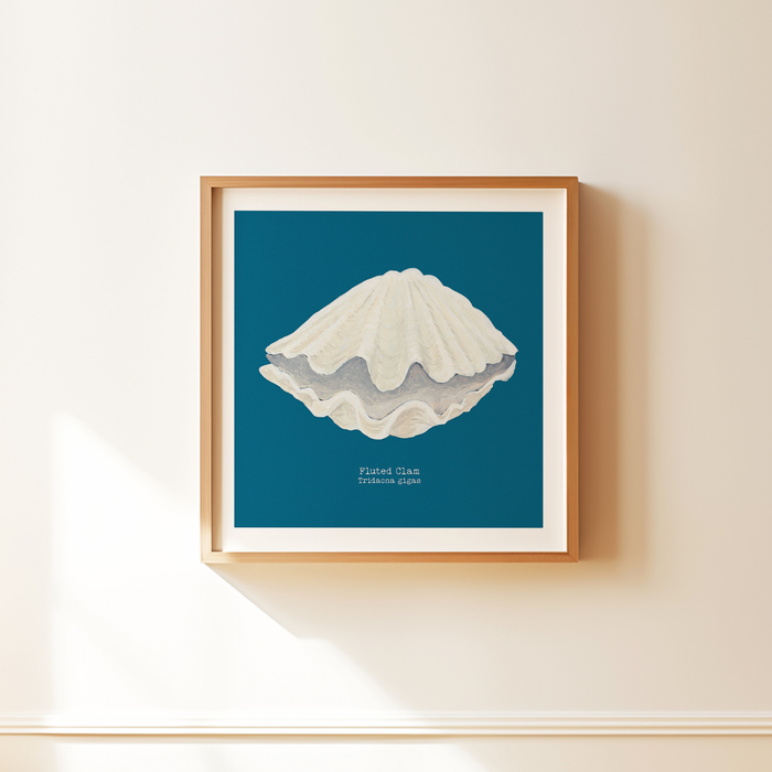 Hand-painted Clam Shell Art Print | Marine Blue Background - Unframed