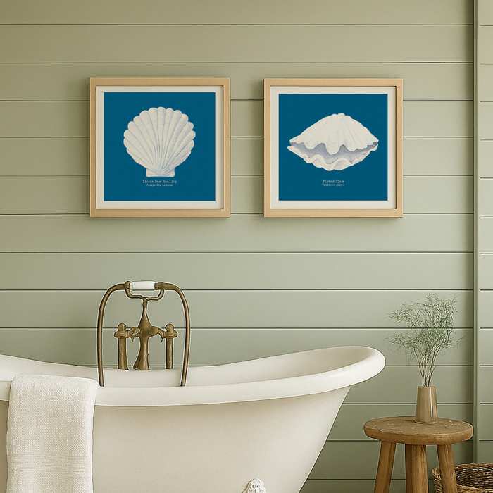 Set of two shell prints in bathroom above bath - framed shell art prints