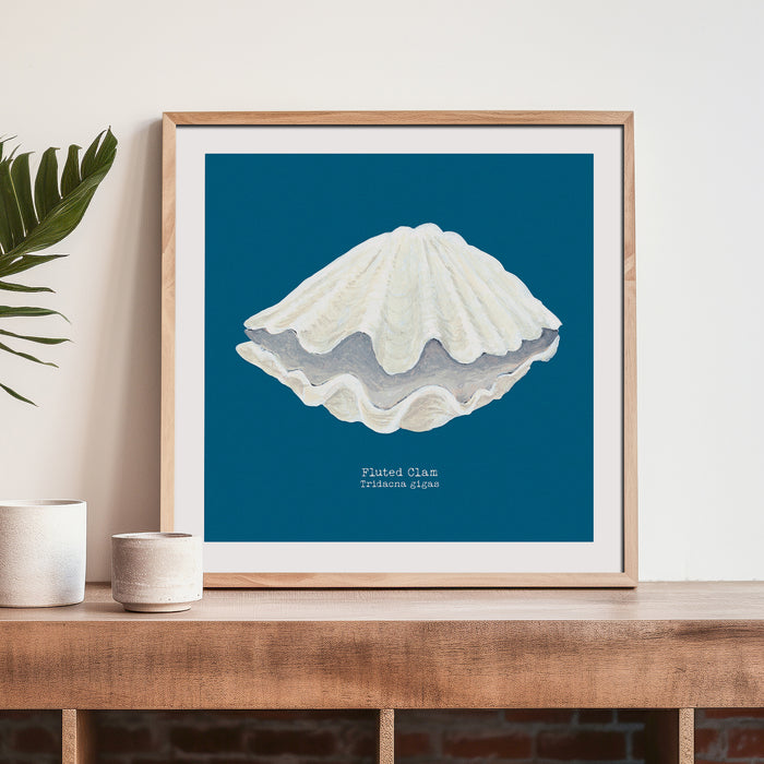 Framed shell art print on wooden shelf.