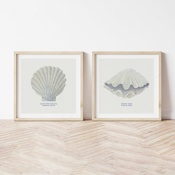 Set of two shell painting framed and laid on floor.