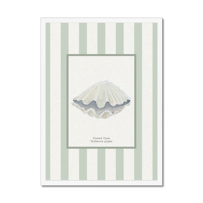 Clam shell art print framed on wall