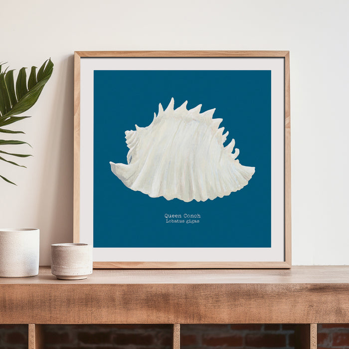 Giant conch shell art print on blue background, framed with a wooden frame on a shelf.