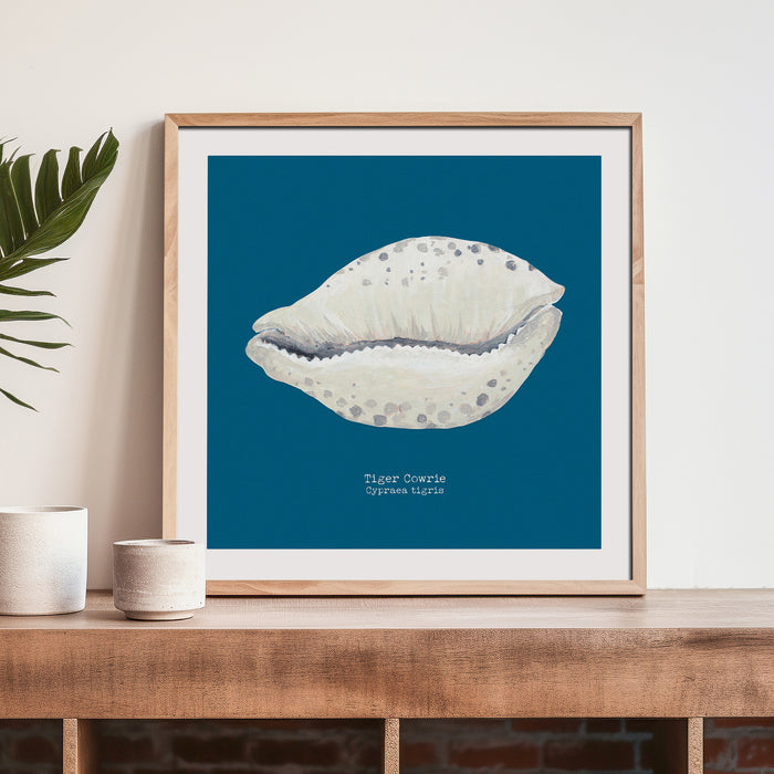 A shell art print with a blue background framed with a natural frame on a wooden shelf.