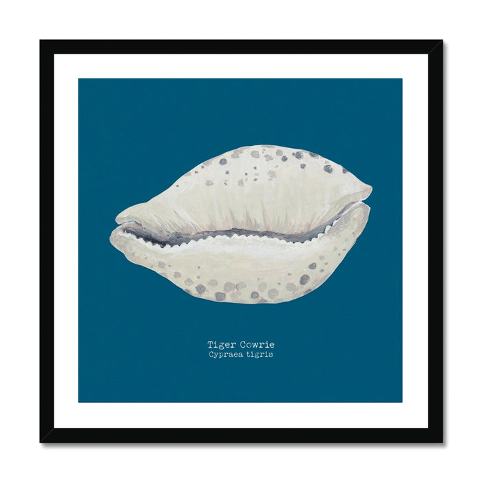 A framed art print of a hand-painted Tiger Cowrie shell on a marine blue background, with the artwork titled 'Tiger Cowrie' at the bottom.