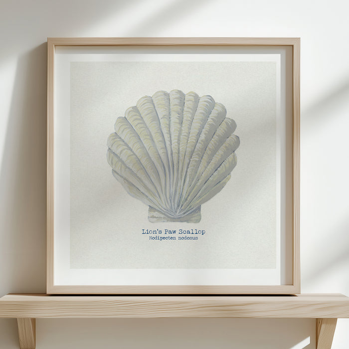 A shell print of a painted scallop hell on a natural background, framed with wooden frame.