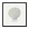A framed art print of a hand-painted scallop shell on a natural beige background.