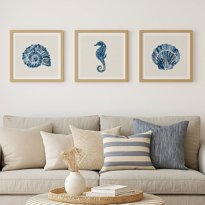 Set of three coastal art prints on wall in living room - set of shell prints in blue paint