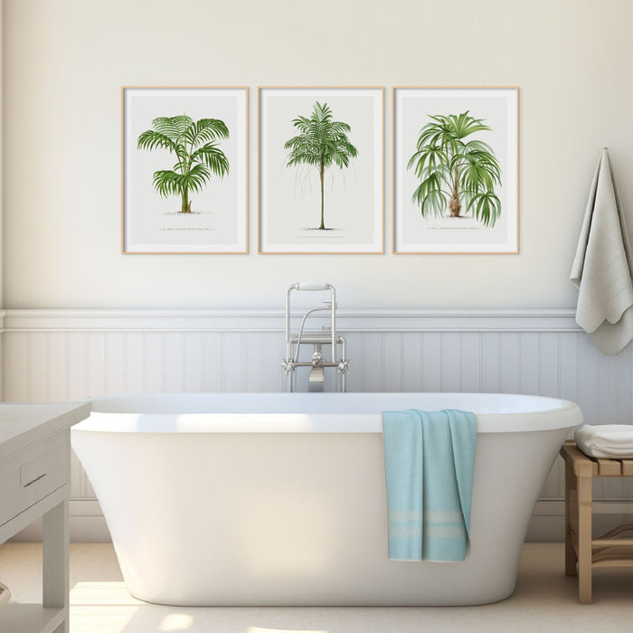 Set of 3 palm tree prints for bathroom – vintage botanical wall art in green tones, framed