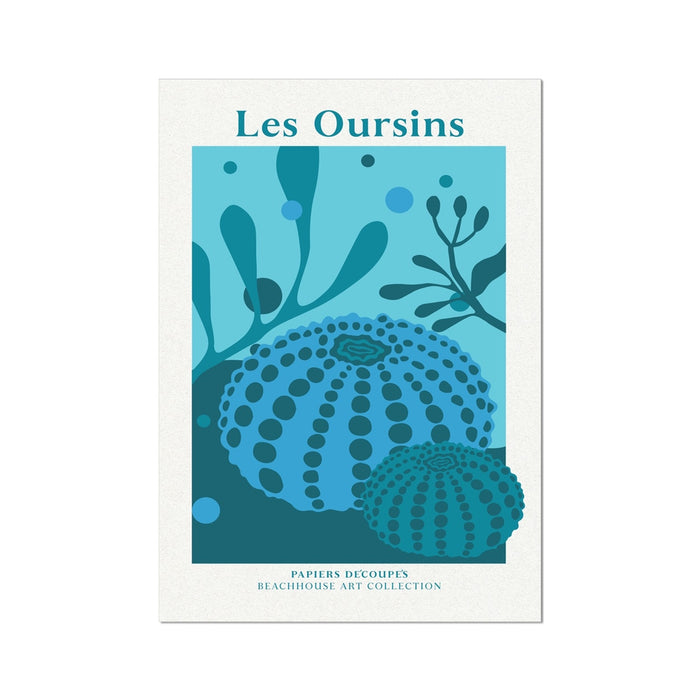 Blue sea urchin art print and 'Les Oursins' text on a white background