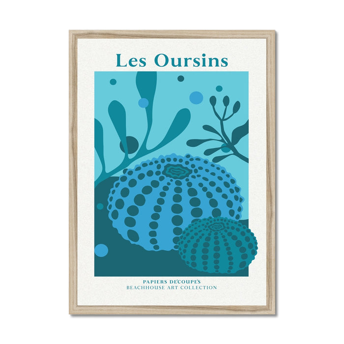 Framed artwork with blue sea urchin design and 'Les Oursins' text on a white background