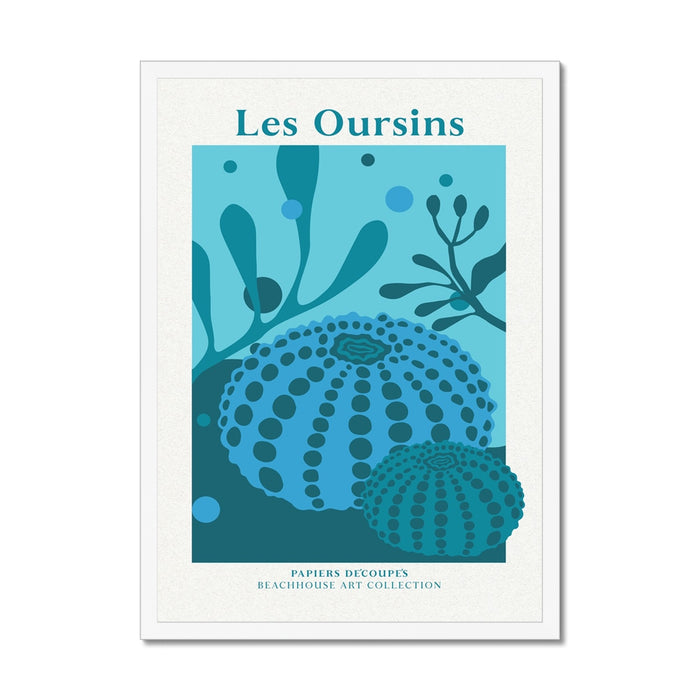 Blue sea urchin artwork and 'Les Oursins' text on a white background