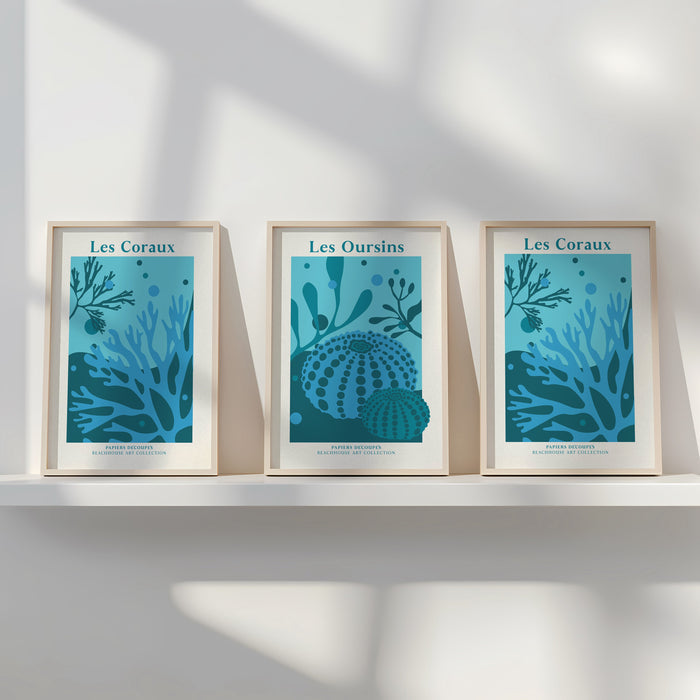 Three framed prints of underwater scenes with marine life on a white wall.