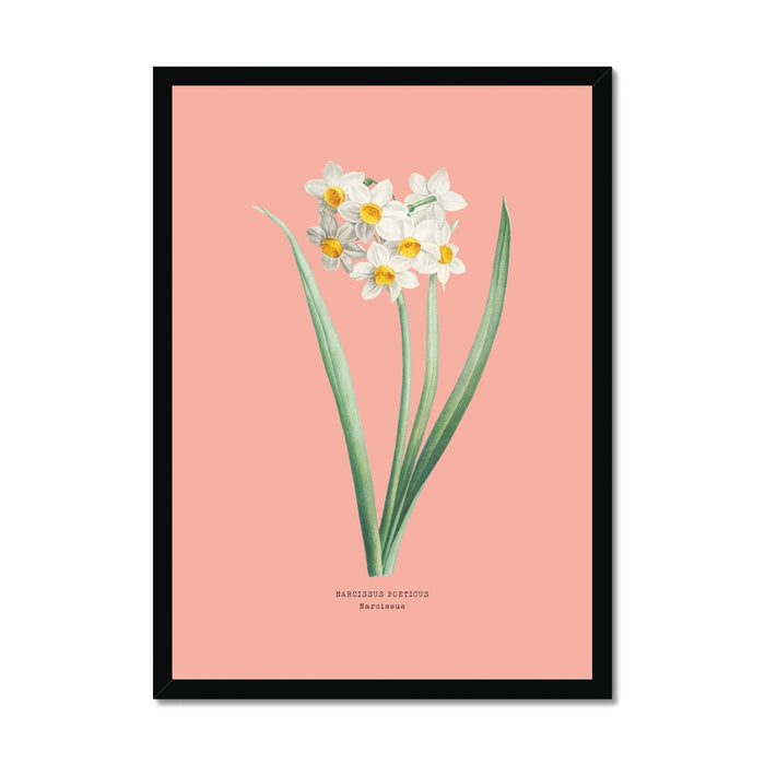 Framed botanical print of white flowers with green leaves on a pink background