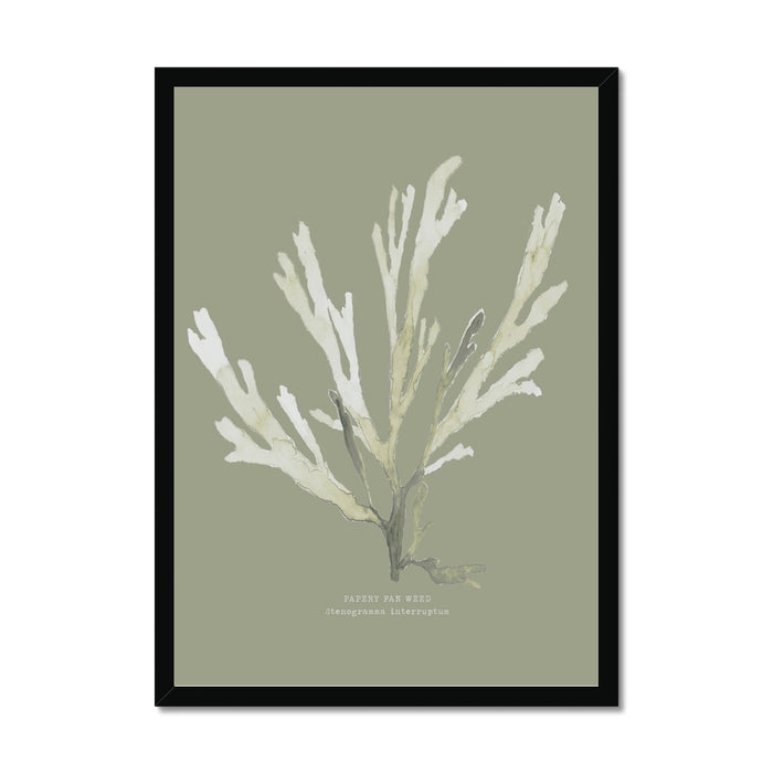 Framed art print of green seaweed against a olive green background, with a black frame.