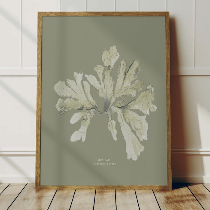 Olive green seaweed print framed on wall.