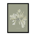 Olive green seaweed print of a sea oak on an olive green background - framed with a black frame.