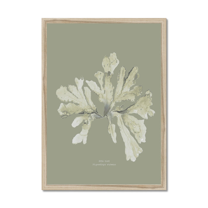 Framed art print of seaweed with olive green and neutral tones on a beige background.
