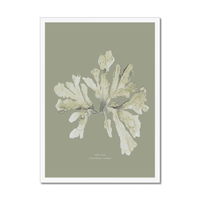Olive green seaweed print framed on wall.