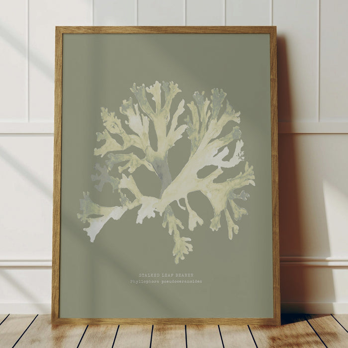 Olive green seaweed painting framed on wall.