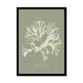 Olive green seaweed art print framed on wall.
