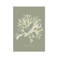 A framed art print of olive green seaweed against a solid background.