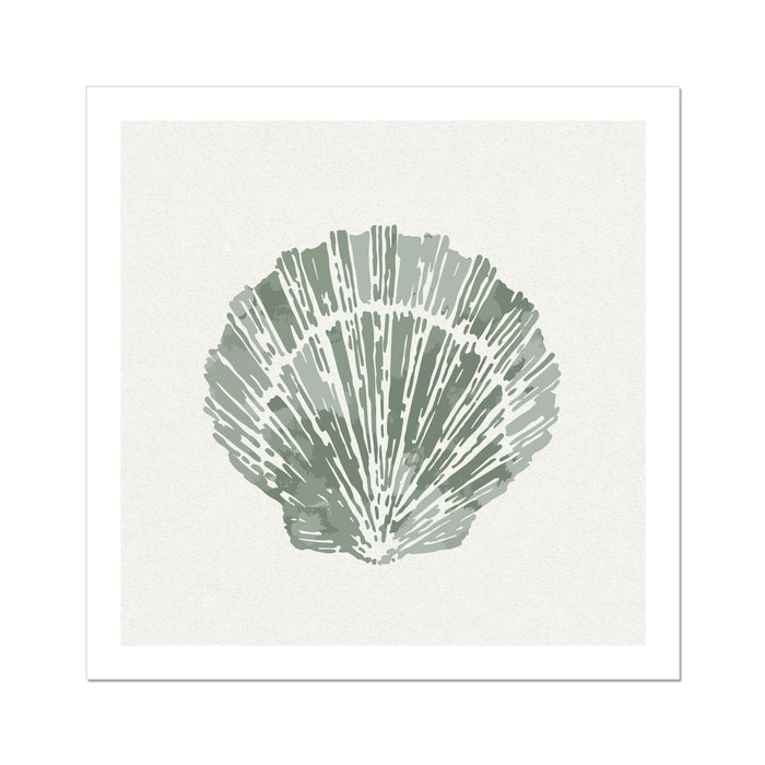 A scallop shell art print in sage green on a white background, with stylised lines representing the shell's texture.