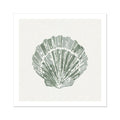 A scallop shell art print in sage green on a white background, with stylised lines representing the shell's texture.