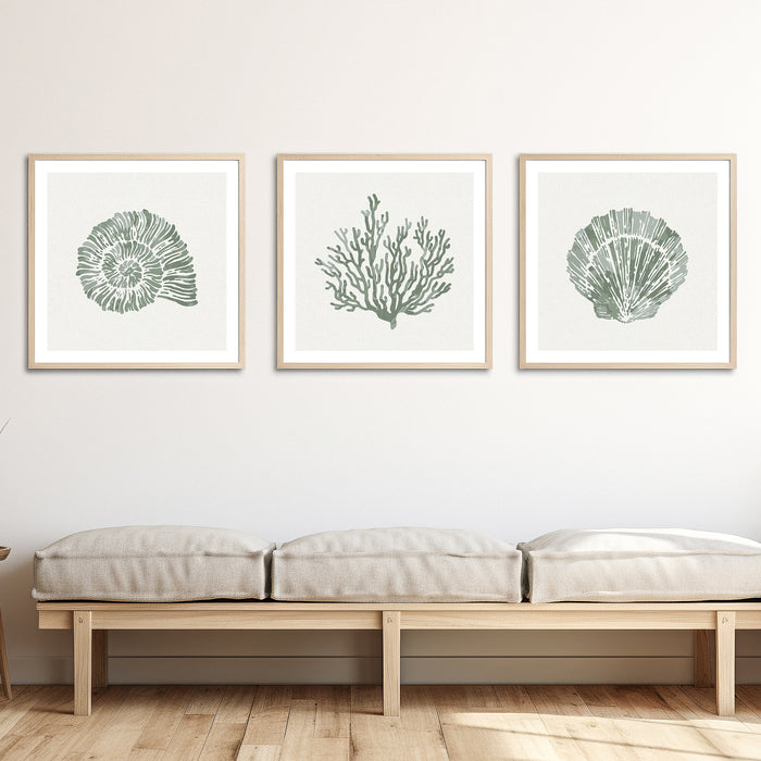 A set of three green shell and coral art prints in hallway above bench.