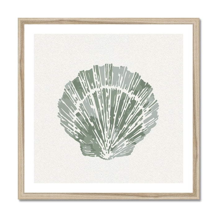 Framed art print of a sage green scallop shell print on a white background.