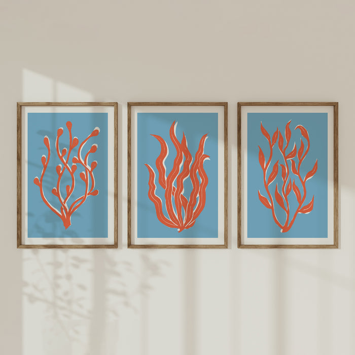 Three framed artworks of red coral on a blue background above a white sofa.