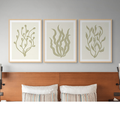 Three framed botanical prints above a wooden headboard with pillows.