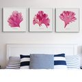 Set of Three Red Seaweed Art Prints Square - Unframed Beach House Art
