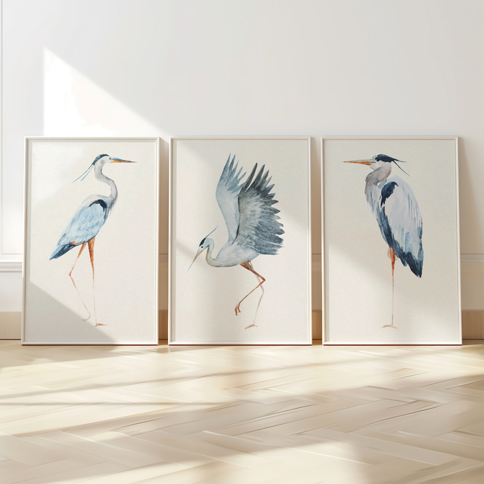 Set of Three Heron Prints | Vintage Bird Paintings  - Framed
