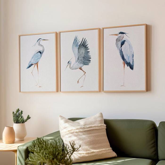 Set of 3 vintage bird prints in living room. Living room with green sofa, decorative pillows, and framed bird prints on the wall.