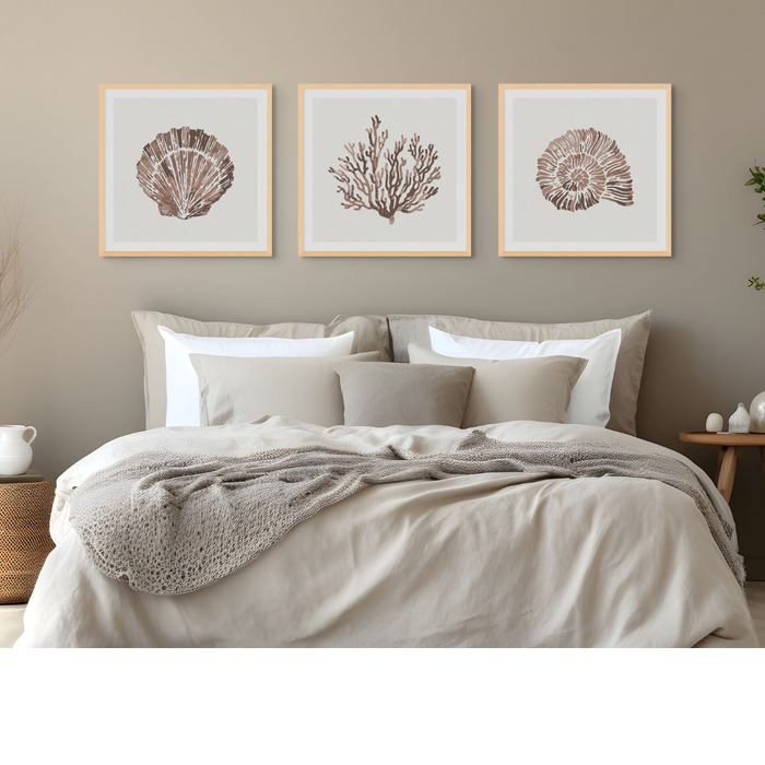 A set of three framed art prints with shell and coral designs in brown colours, displayed above a bed in a cosy bedroom setting.