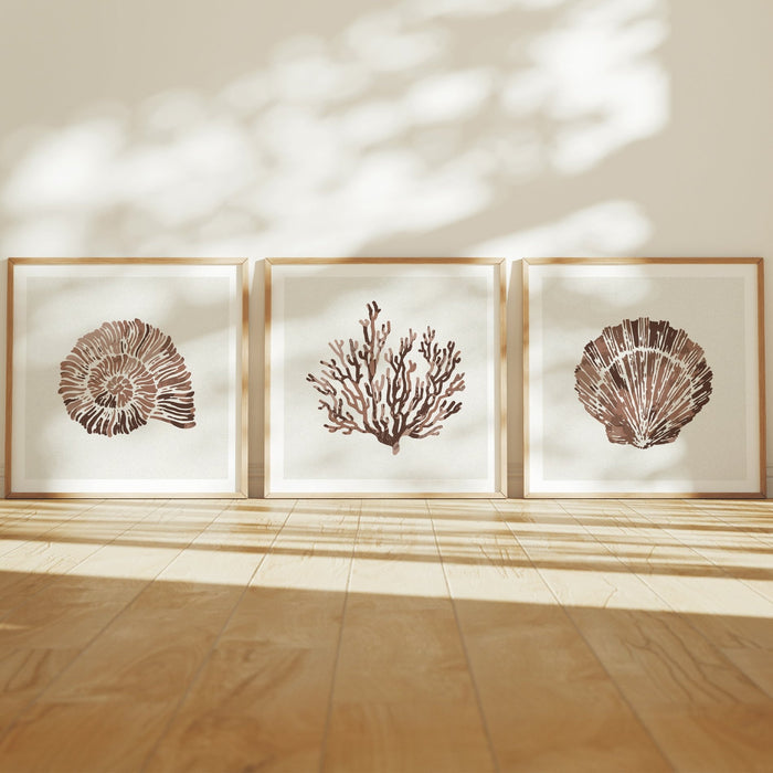 A set of three framed art prints with shell and coral designs in brown colours