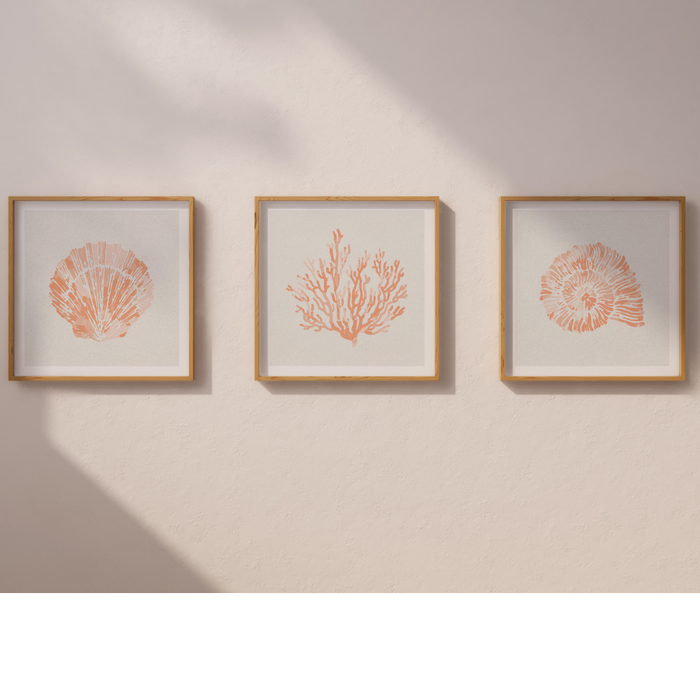 Set of Three Peach Coral and Shell Prints in Peach - Framed