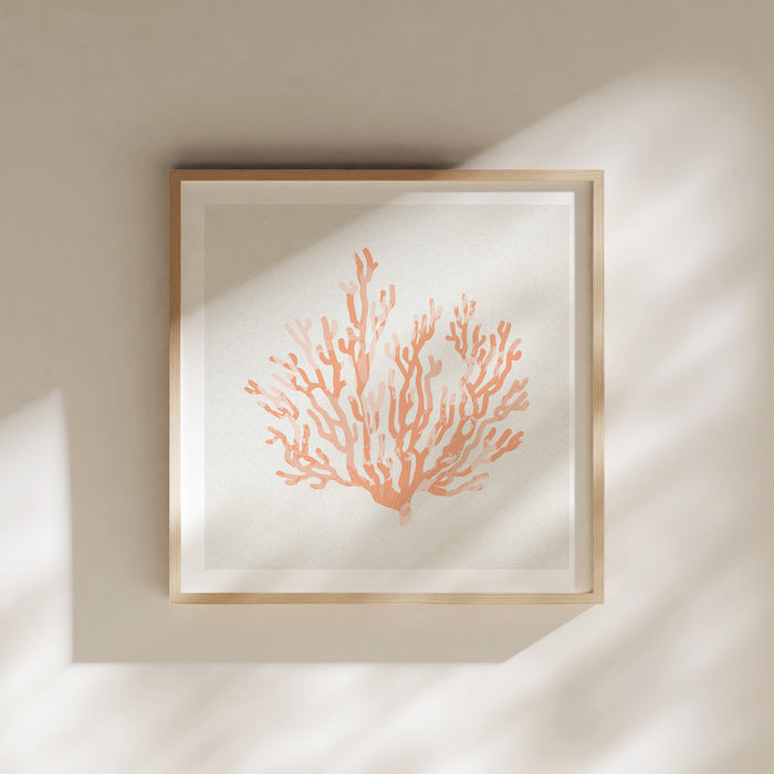 Set of Three Peach Coral and Shell Prints in Peach - Framed