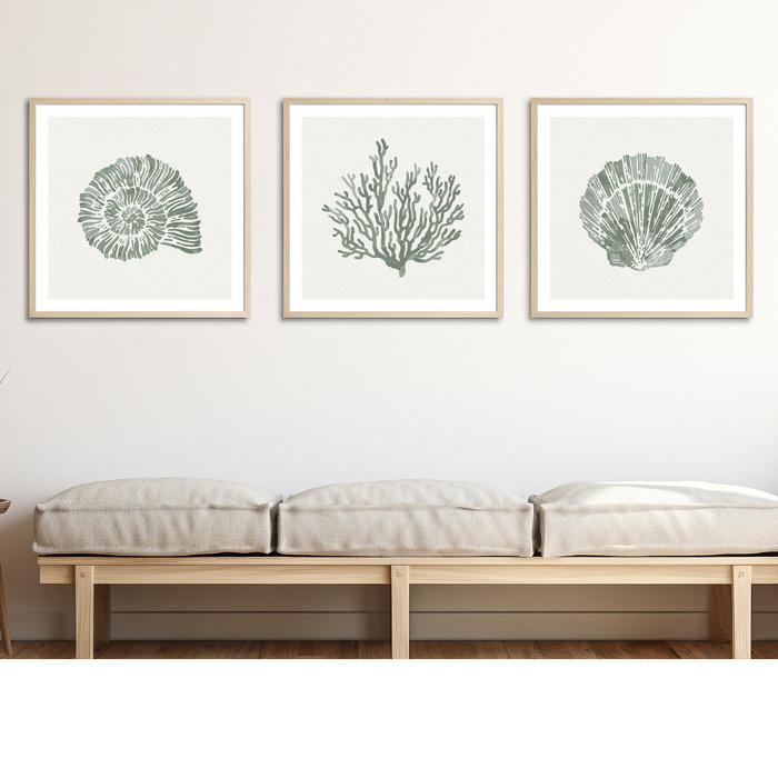 A set of three framed shell art prints featuring green shell and coral designs, displayed above a bench with neutral colored cushions.