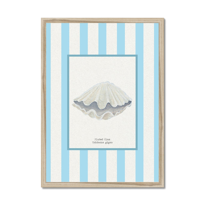 Framed artwork of a scallop shell with blue and white striped border