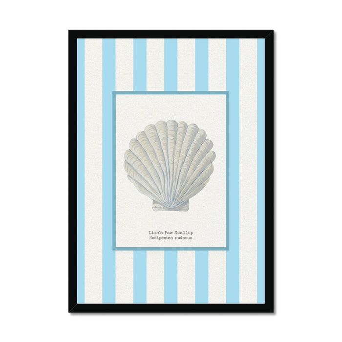 Framed artwork with a shell illustration on a striped background