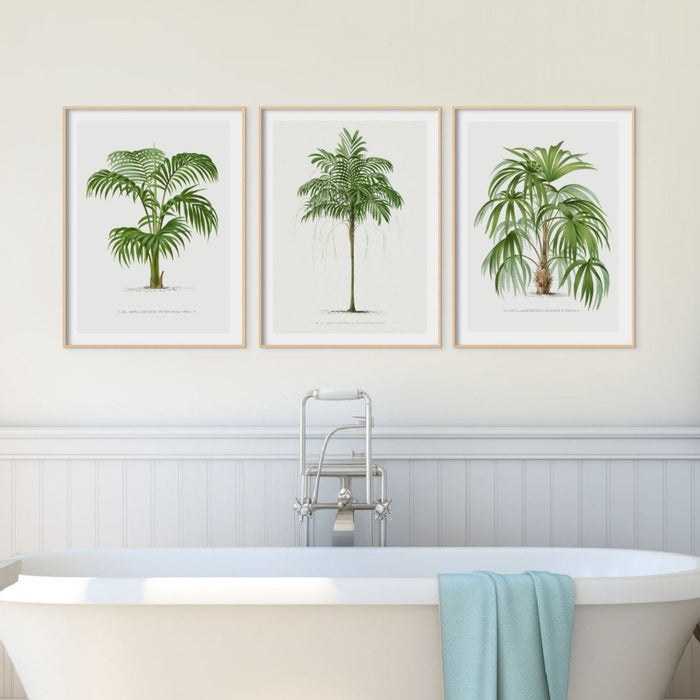 Set of 3 palm tree prints – vintage botanical wall art, framed green palm prints for bathroom or living space