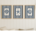 Three framed nautical-themed shell prints with striped borders on a white wall.
