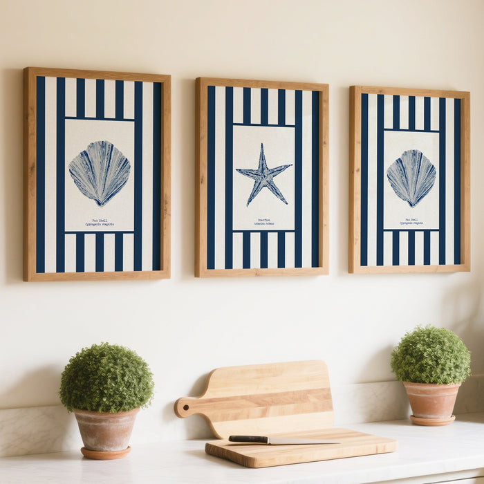 Set of three shell prints in kitchen -coastal themed wall art above a kitchen counter with a coffee maker and plants.