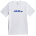 Adidas Skateboarding 4.0 Arched Logo Tee White Royal Blue