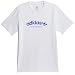 Adidas Skateboarding 4.0 Arched Logo Tee White Royal Blue