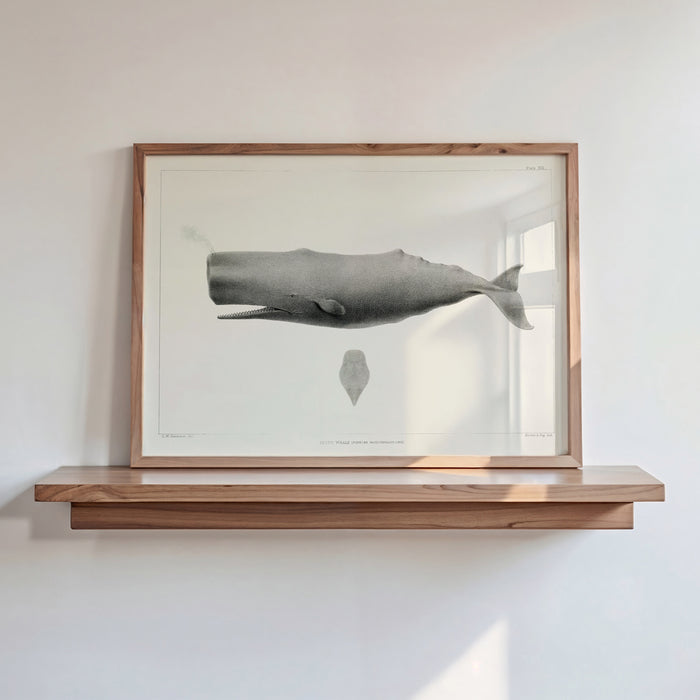 Framed artwork of a whale on a wooden shelf against a white wall
