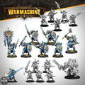 Warmachine: Cygnar Storm Legion Core Expanion Warmachine Steamforged Games